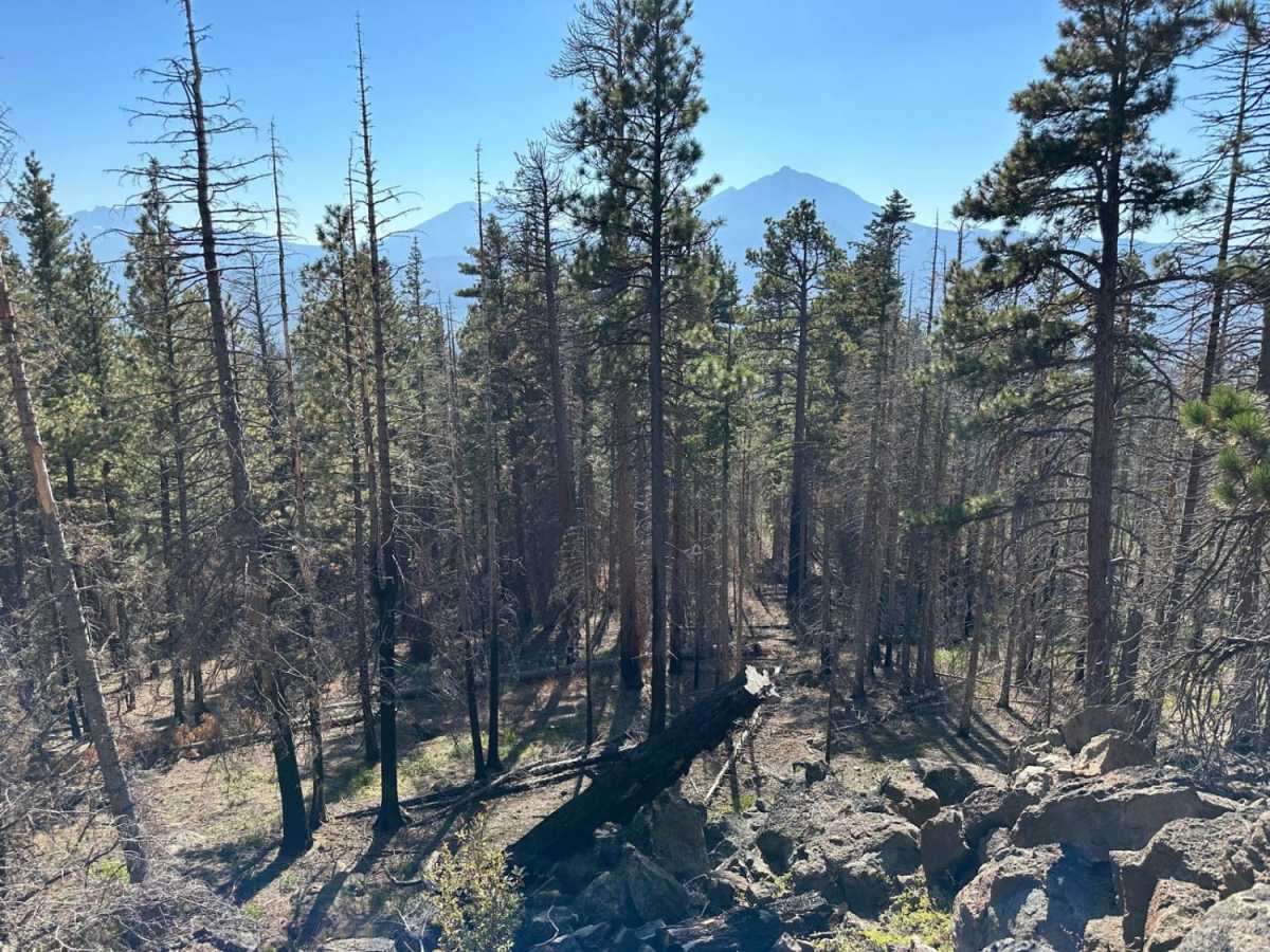 Trout Creek Butte Summit photo 3