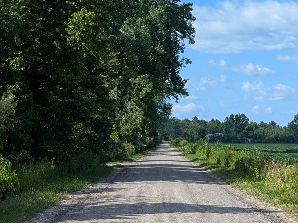 Walker Road photo 3