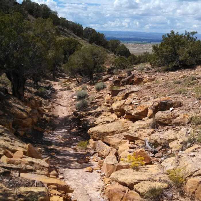 Near Bobcat to Duncan 5-Miler