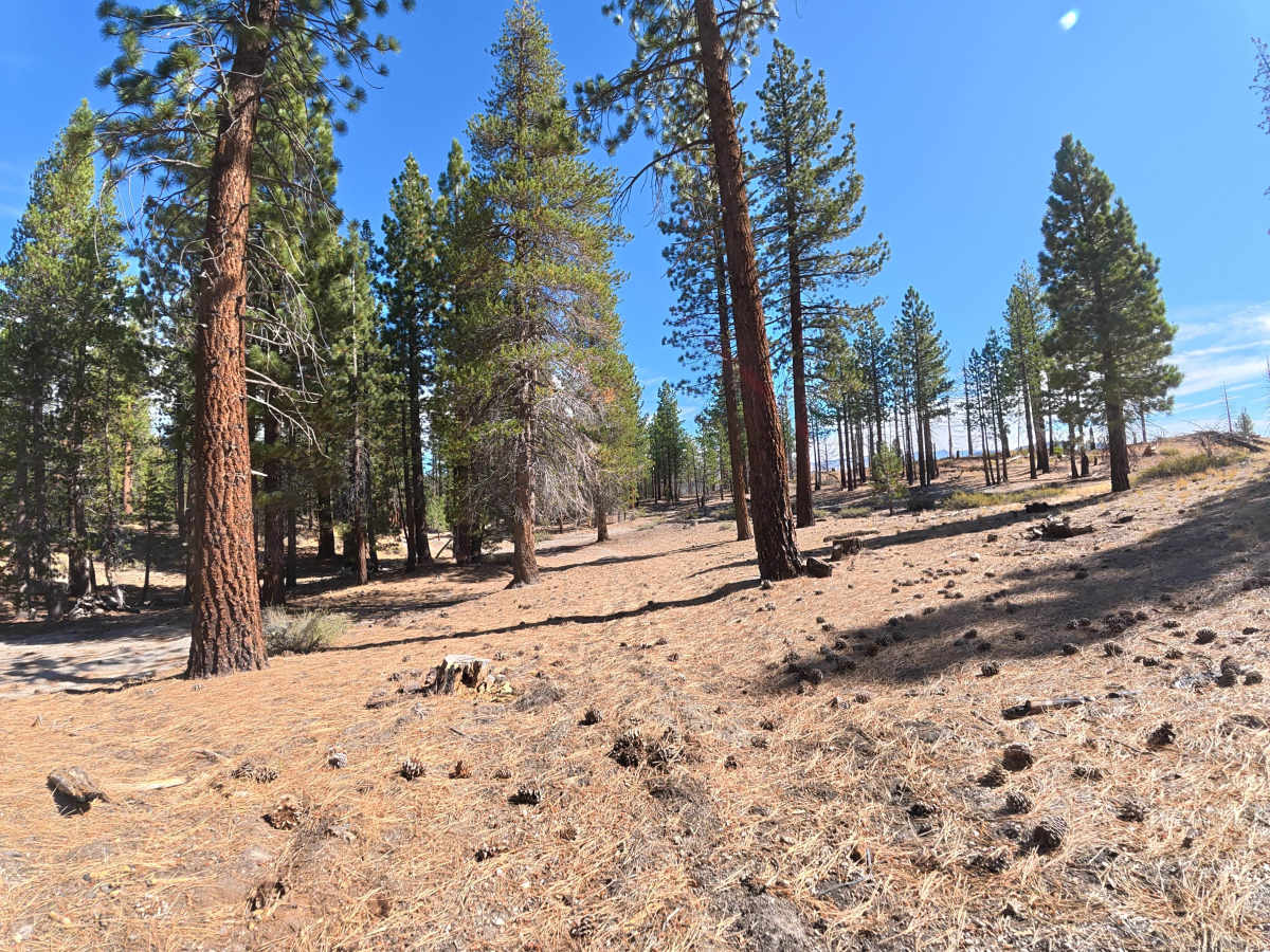 FS 3S163 trail photo