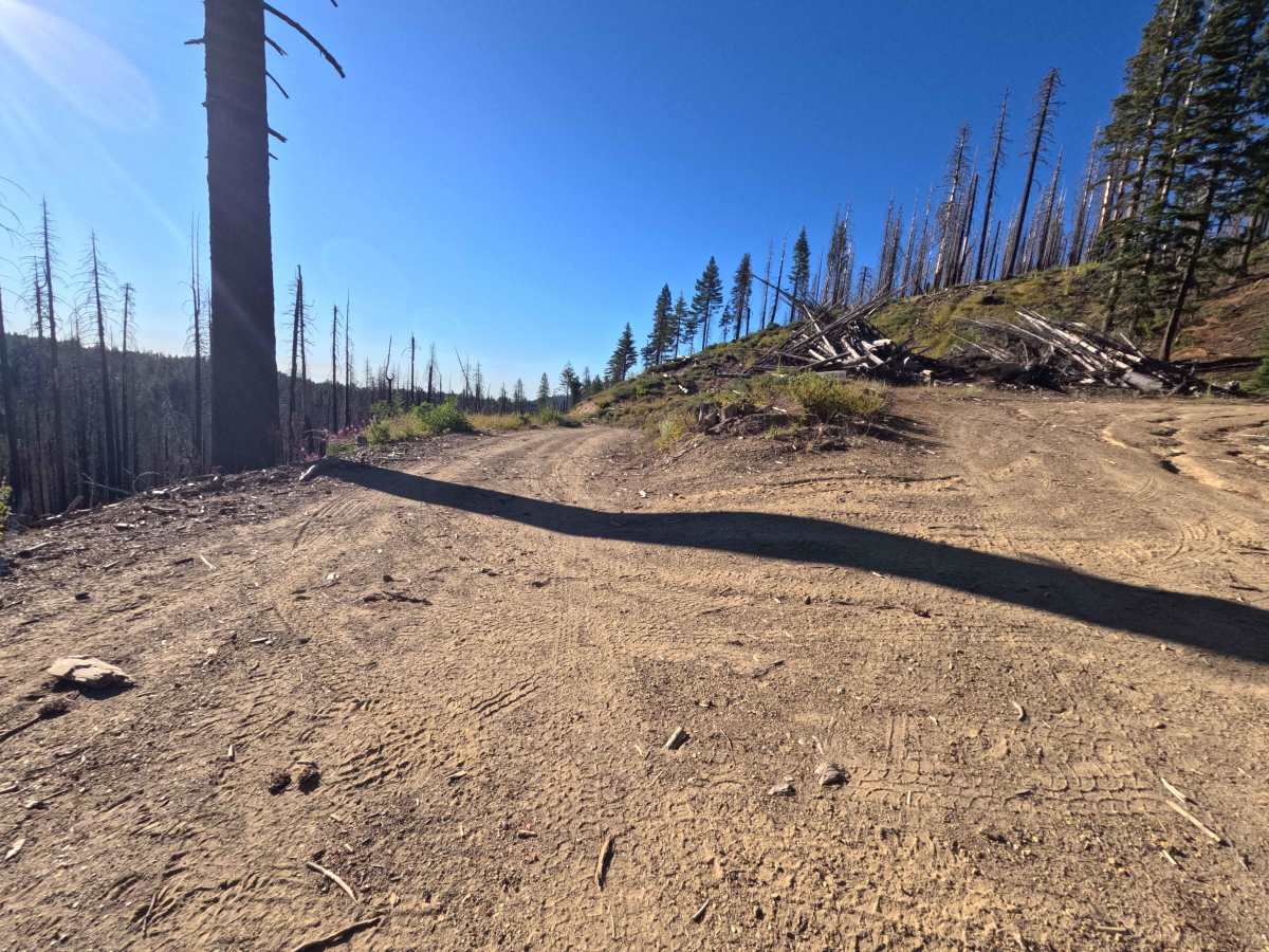 Snow Basin Creek - FS 22N10 trail photo