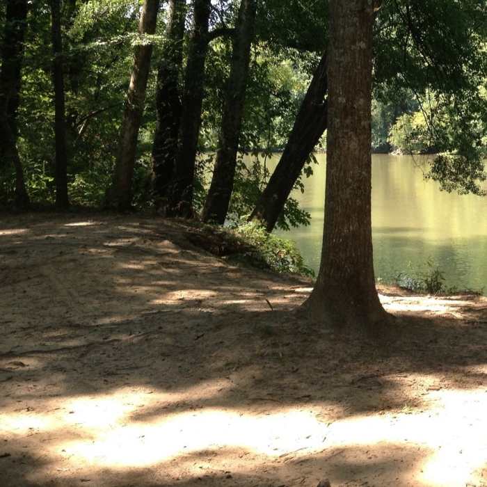The River Near Island Ford North Loop