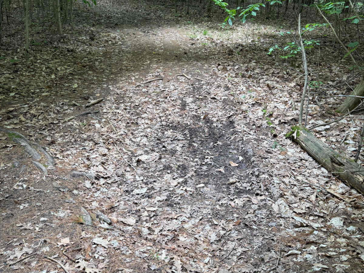 Broomhead Trail South photo 6