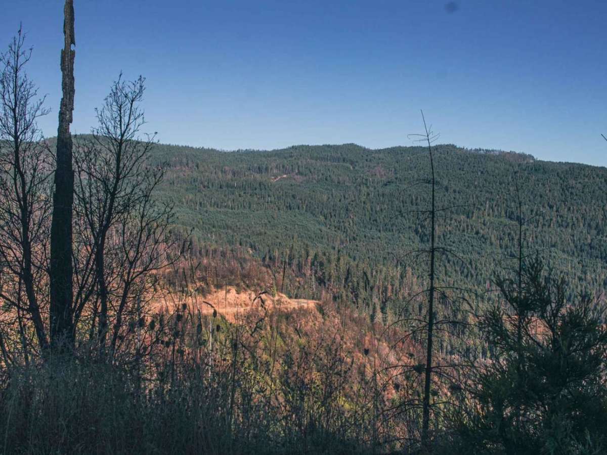 Bachelor Butte photo 5