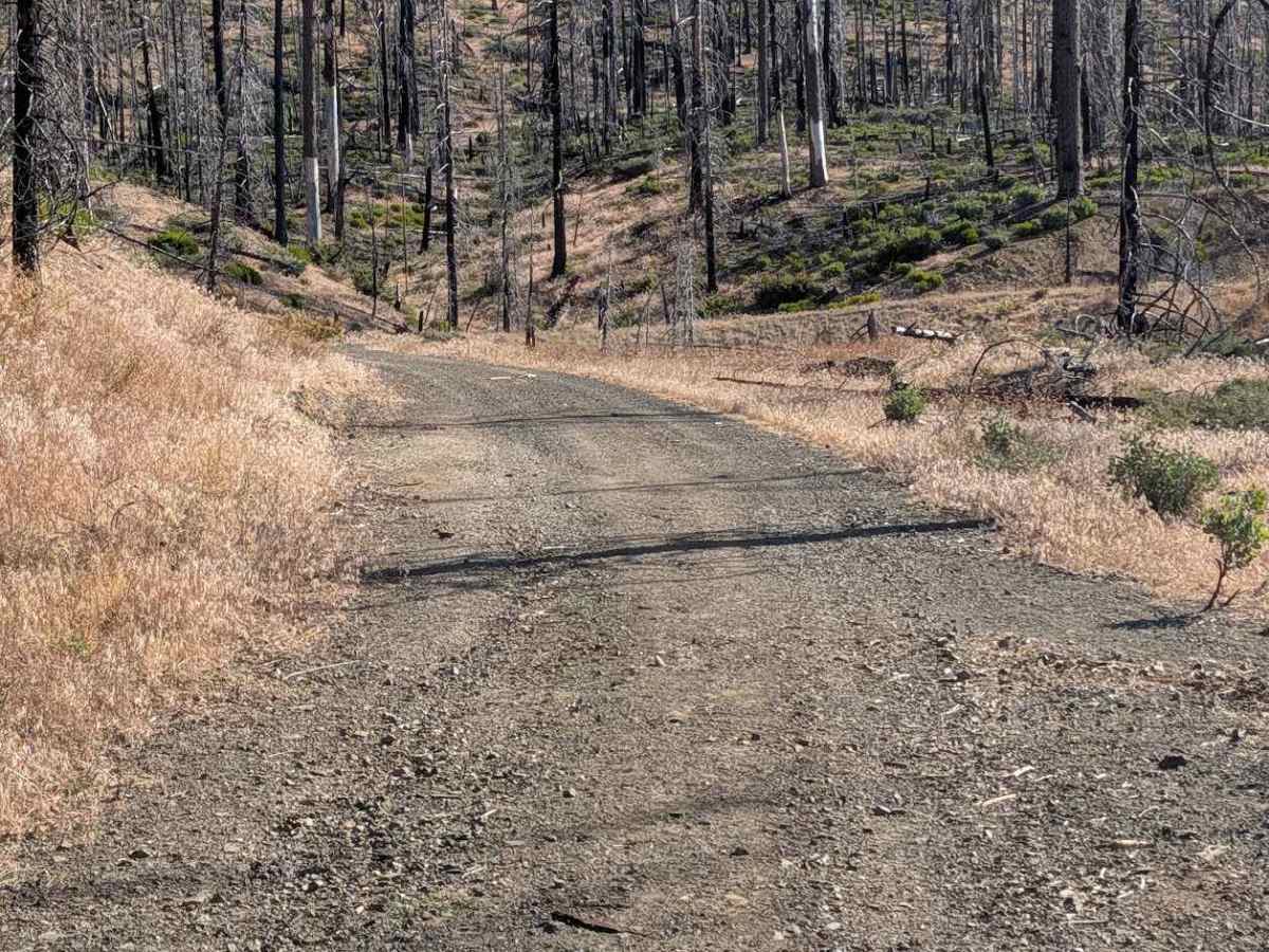 North Fork Smokey Creek Road - FS 29N48  photo 4
