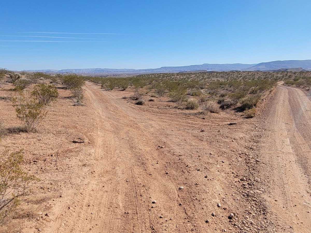 Curly Hollow Wash photo 3