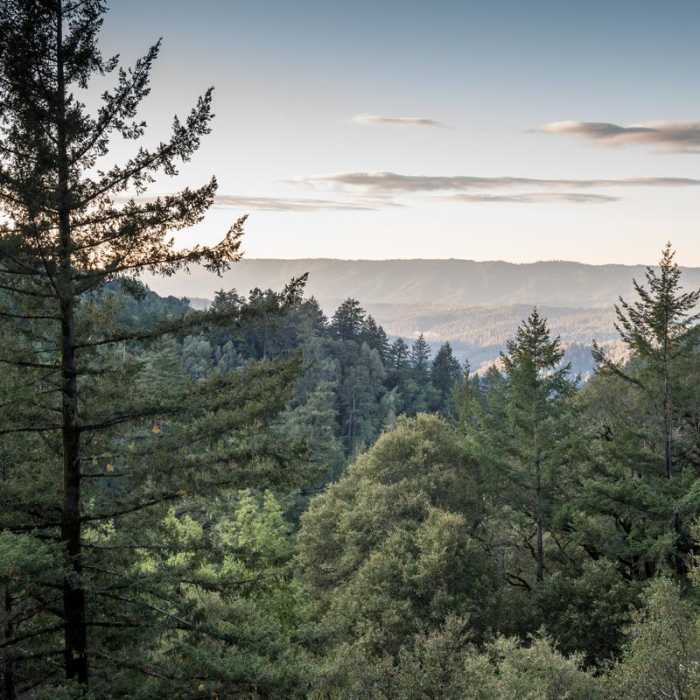 Near Skyline to the Sea Trail: Saratoga Gap to Big Basin Headquarters