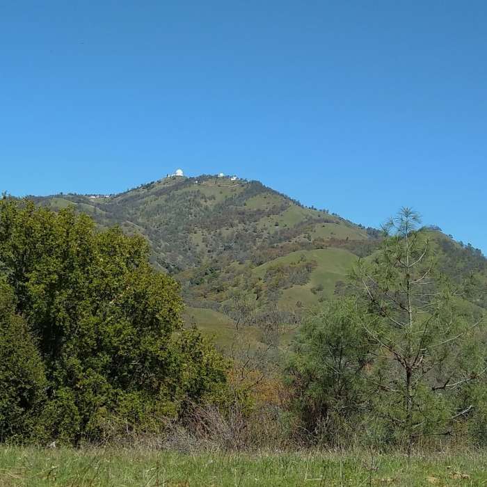 Near Manzanita Trail