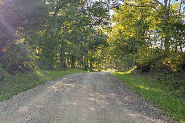 Old State Road - FS 157