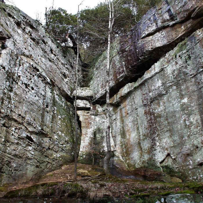 Near Trail #049E