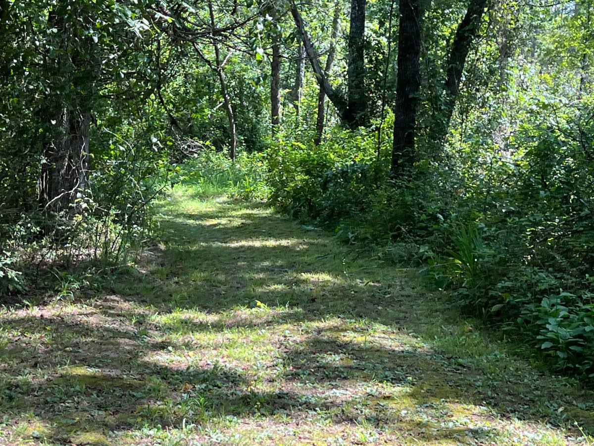 Liberty Springs Road  photo 5