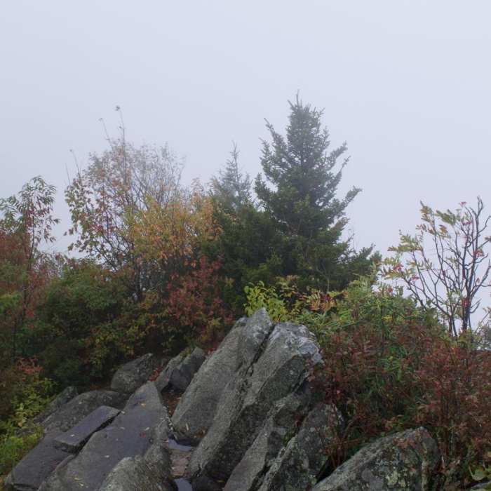 Near Mount Cammerer Near Mount Cammerer