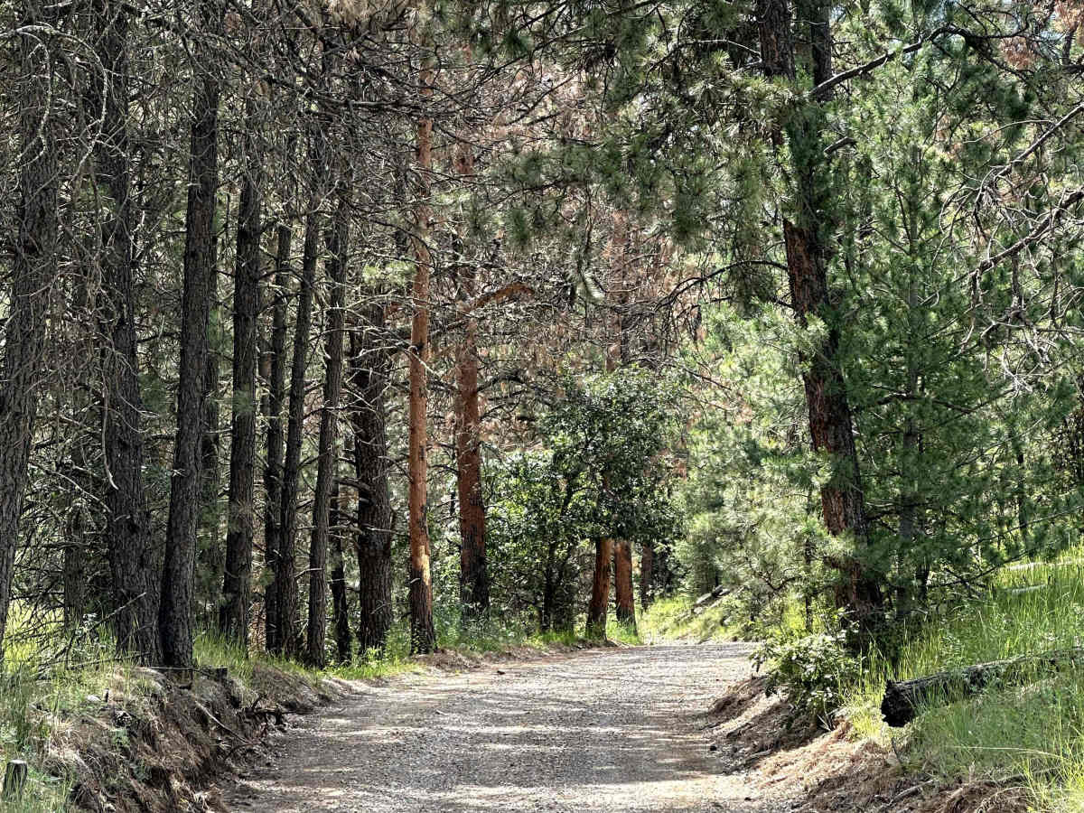 Telephone Canyon trail photo