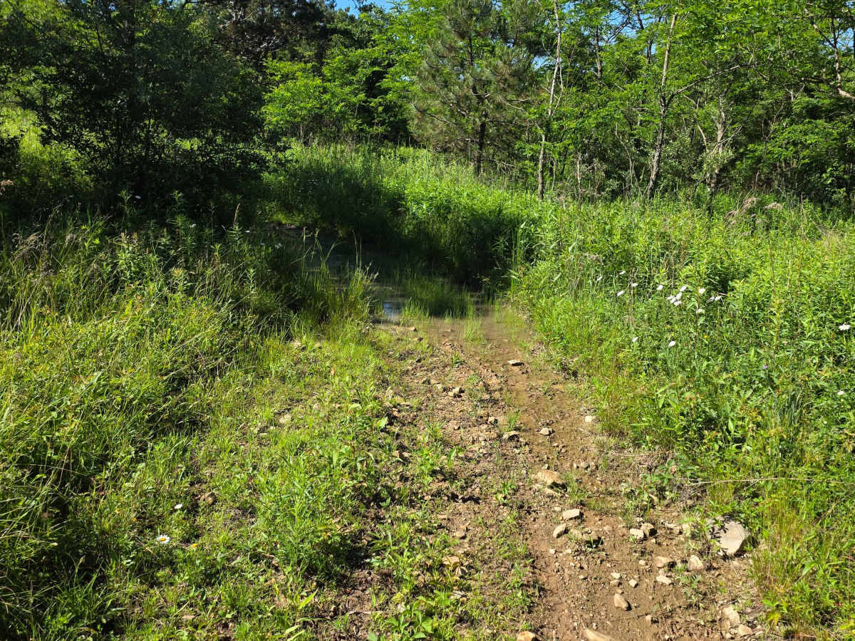 Single Track M1 photo 4