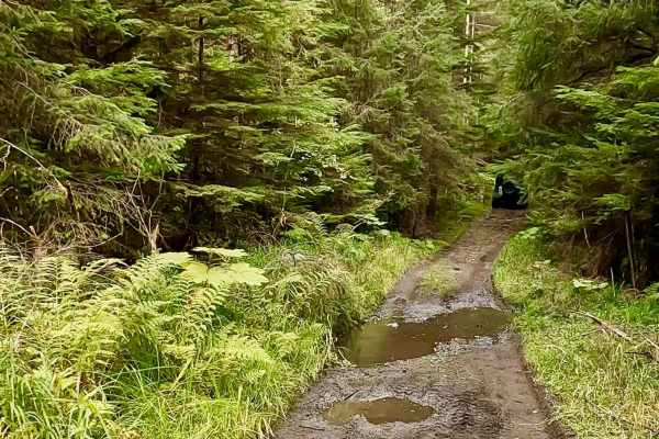 Upper Frenchy Loop