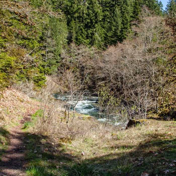 Near Brice Creek Trail, West Trailhead to Lund Campground Hike