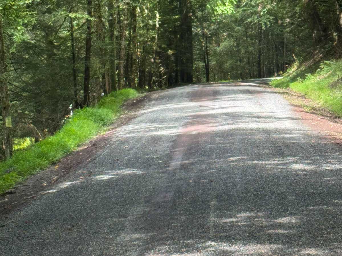 Roaring Run Road photo 2