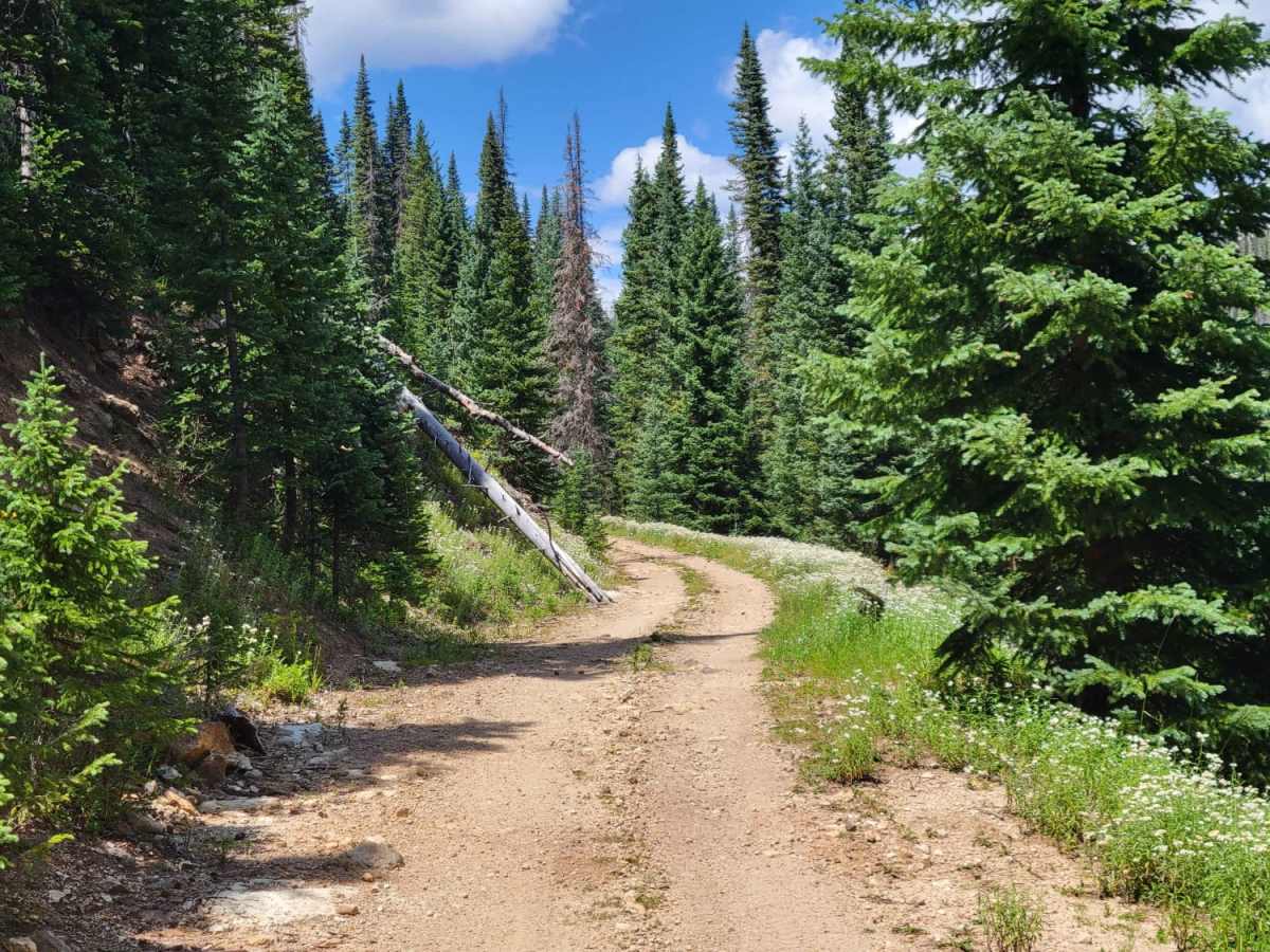 Double Creek Loop photo 5