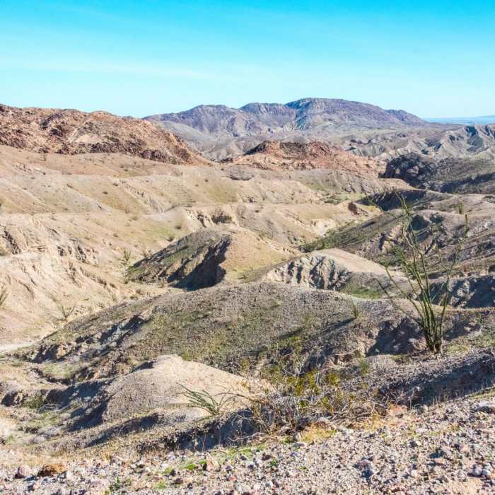 Near West Butte Mountain and the Slot