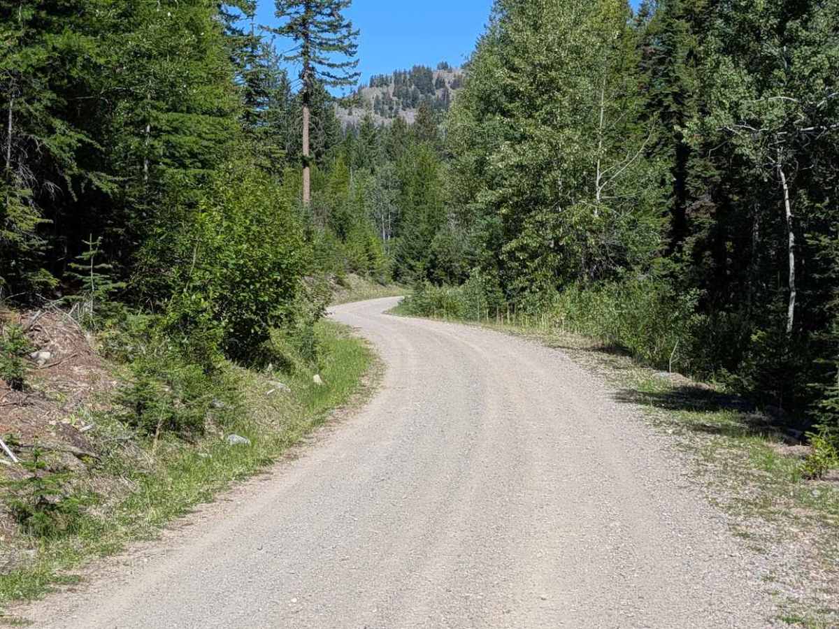 Bald Butte Rd photo 5