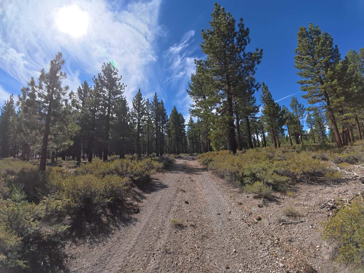 FS 1S131 trail photo