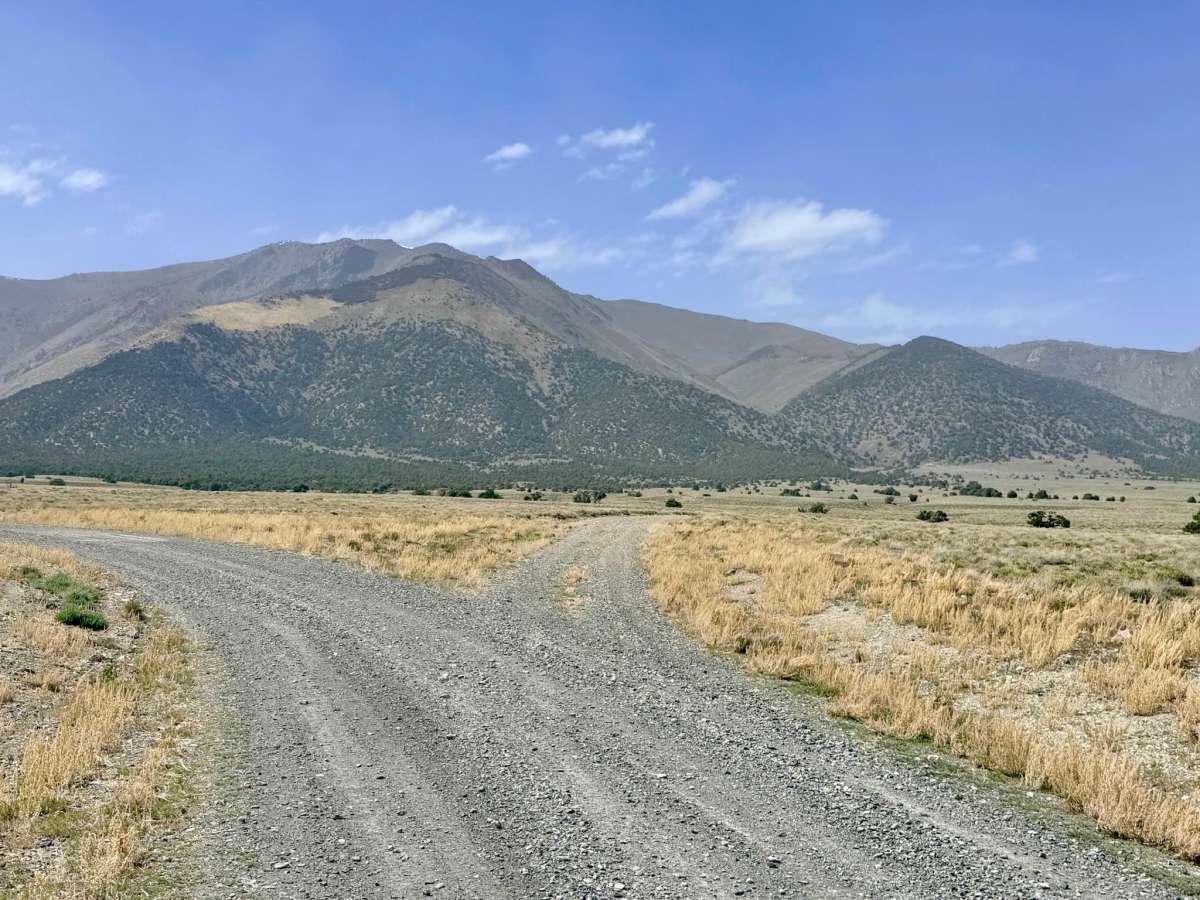 Lynch Creek Loop - FS 43275 photo 5