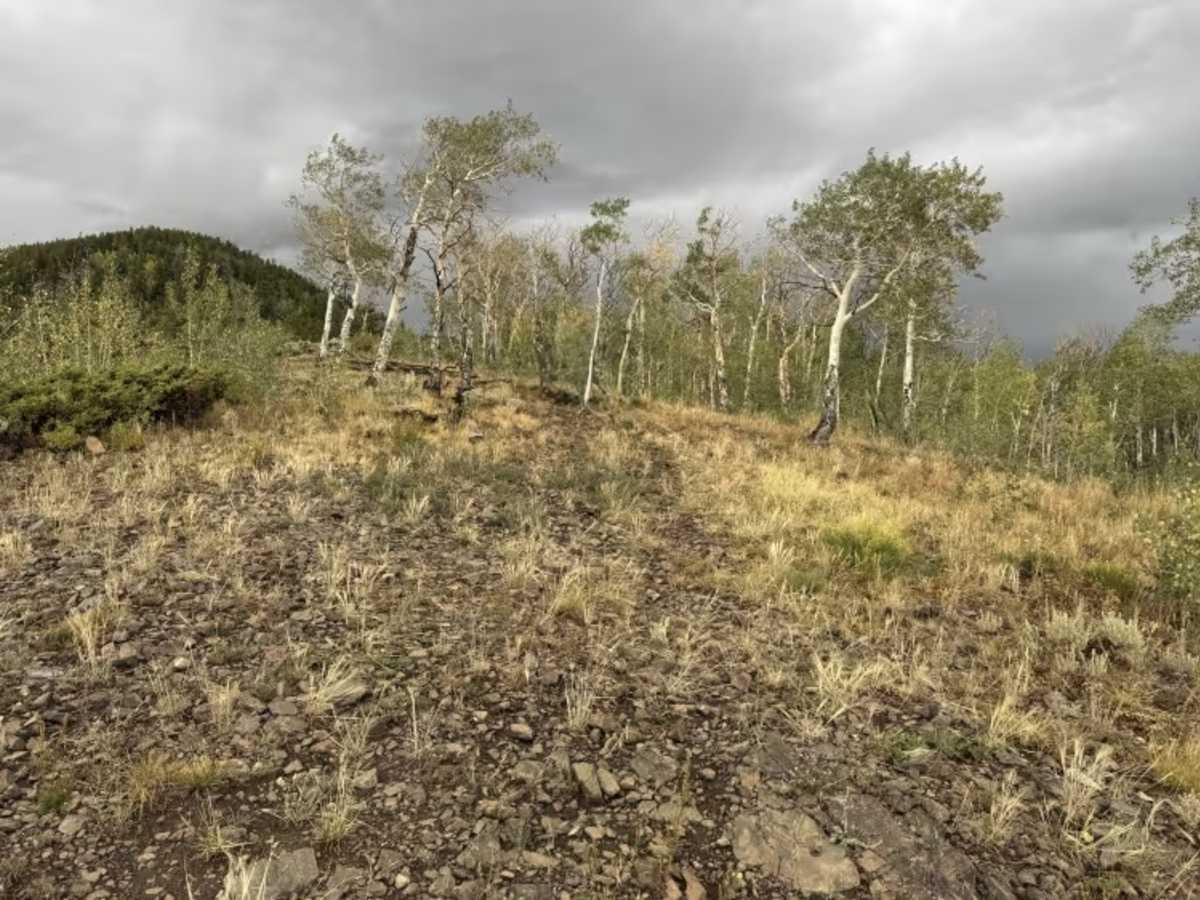 Willow Creek Mine Road photo 5