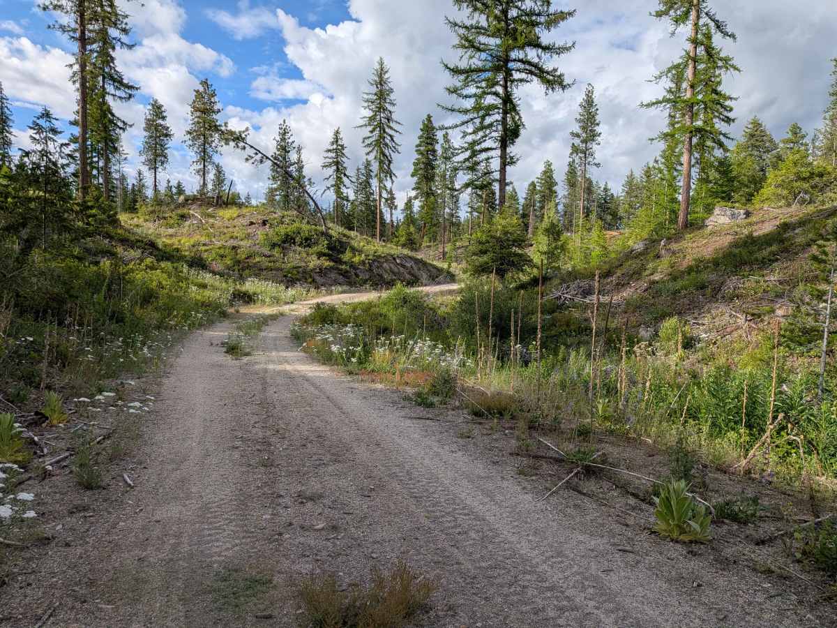 E332418A trail photo