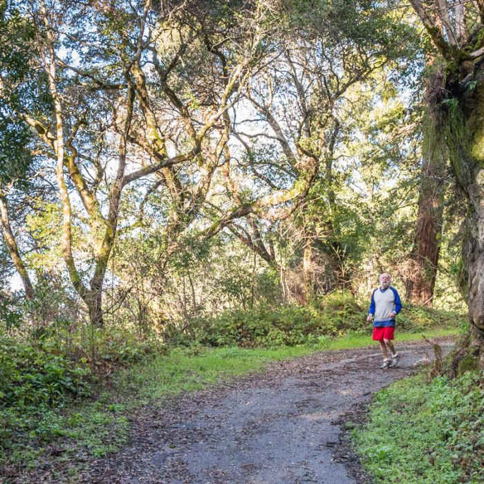 Near Enchanted Trail Hike