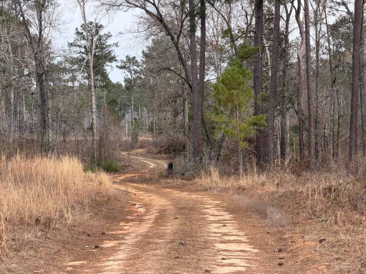 Grid Loop Road photo 5