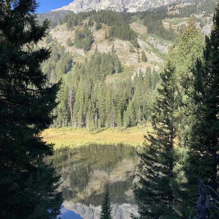 Near Moose Ponds Loop Trail
