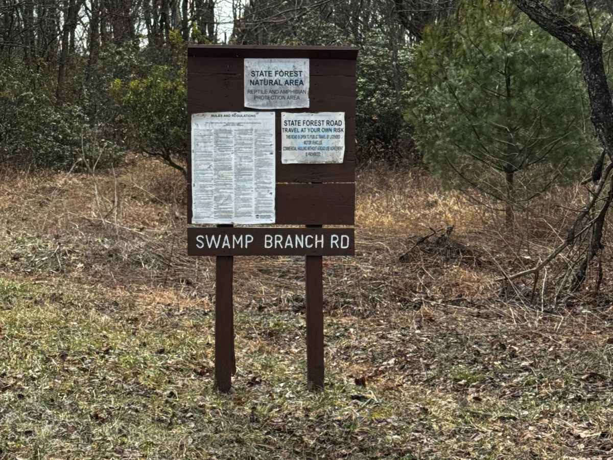 Swamp Branch Road trail photo