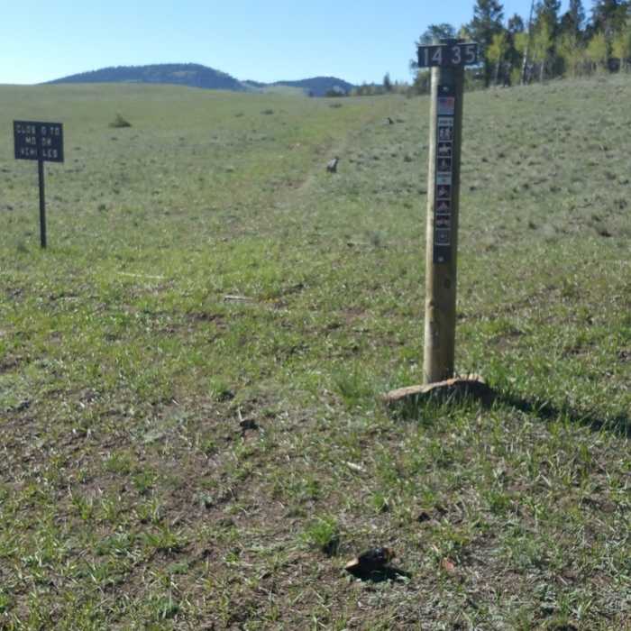 Trailhead Near Trail #1435