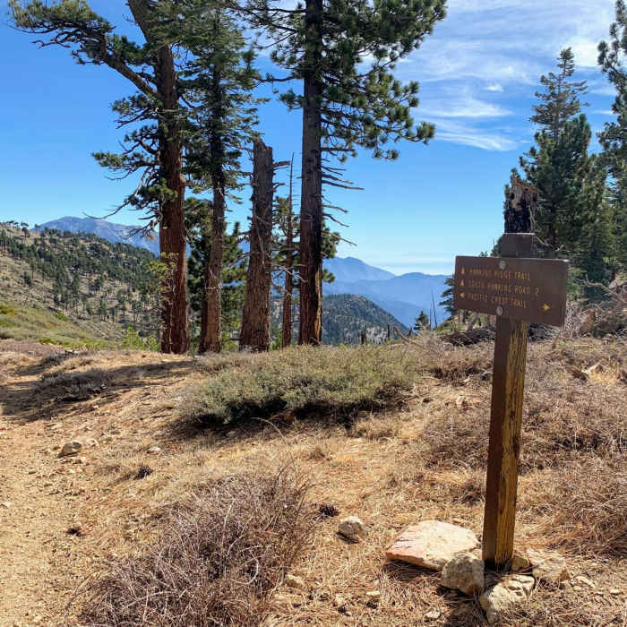 Near Vincent Gap to Little Jimmy Campground