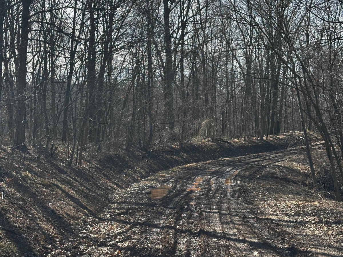 Bean Ridge  photo 5