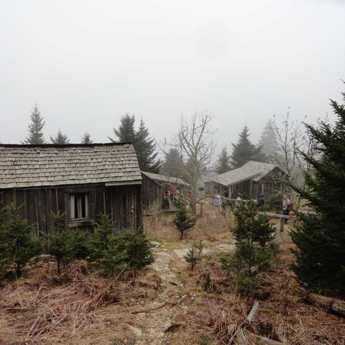 We made it! Near Alum Cave - Cliff Top Out and Back