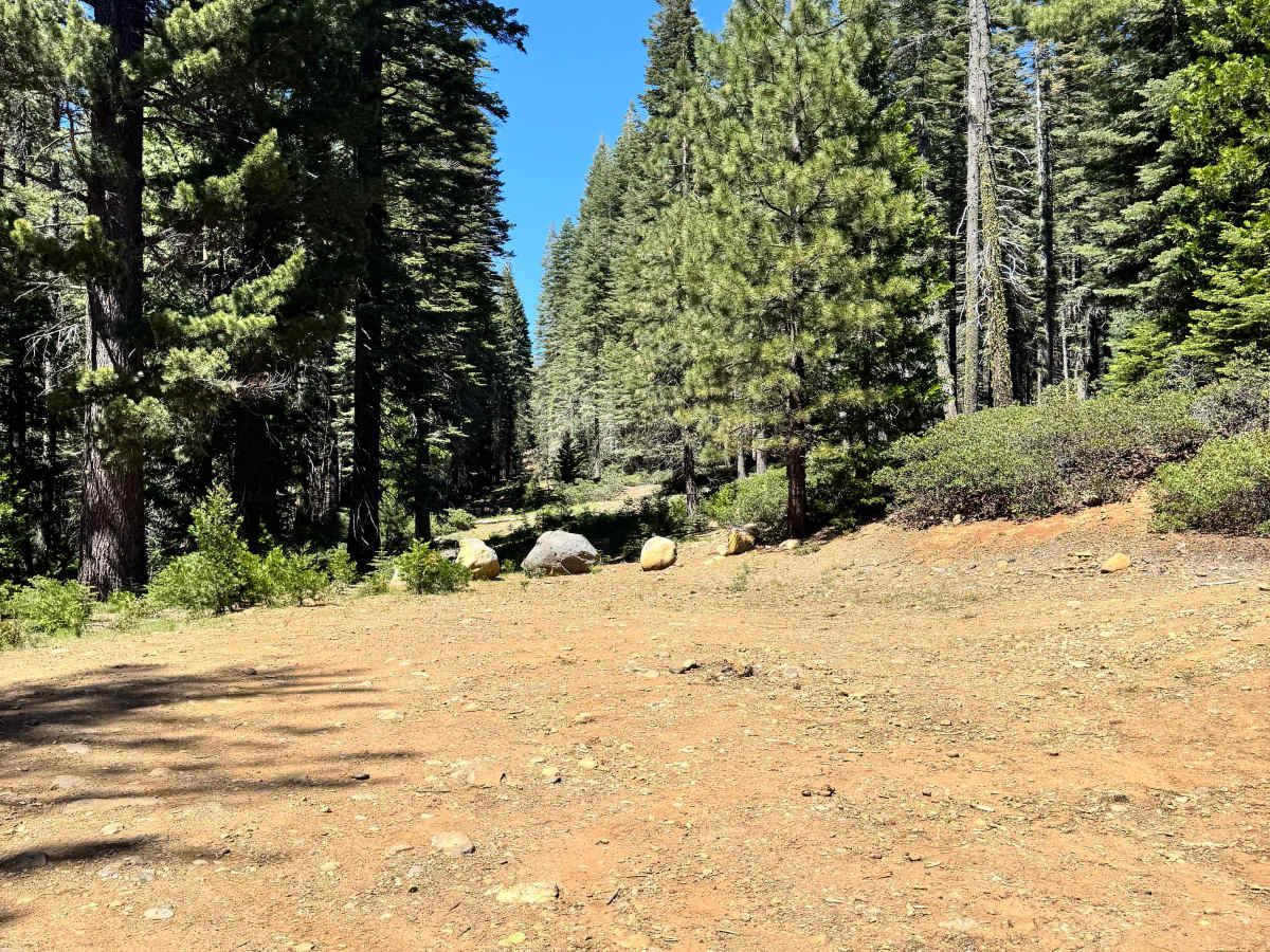 Willow Creek - FS 26N07 trail photo