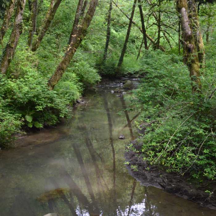Near West Horse Loop Trail