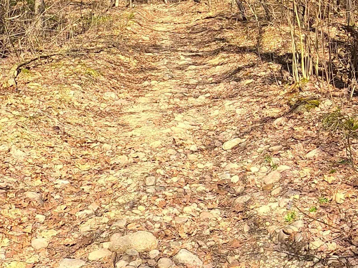 ORV H-57 : Mack- Old Baldy Trail photo 4