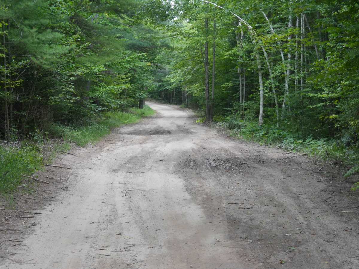 Clark Bridge Road trail photo