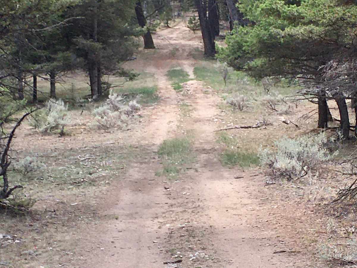 Little Galena Trail photo 4