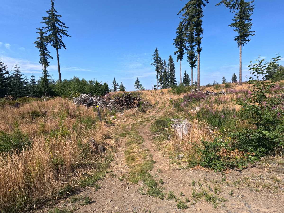 Sunset Trail trail photo