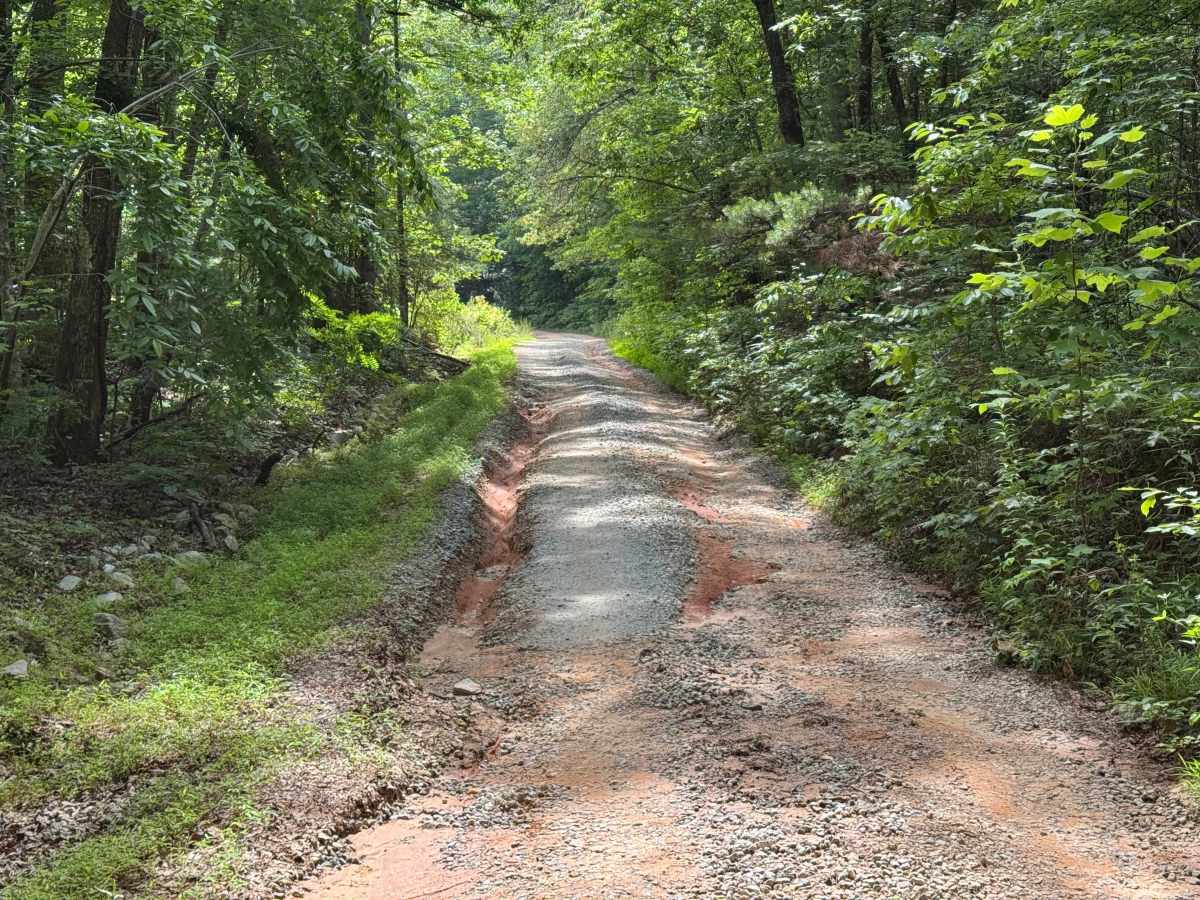 Stonewall Creek - FS 20 photo 3