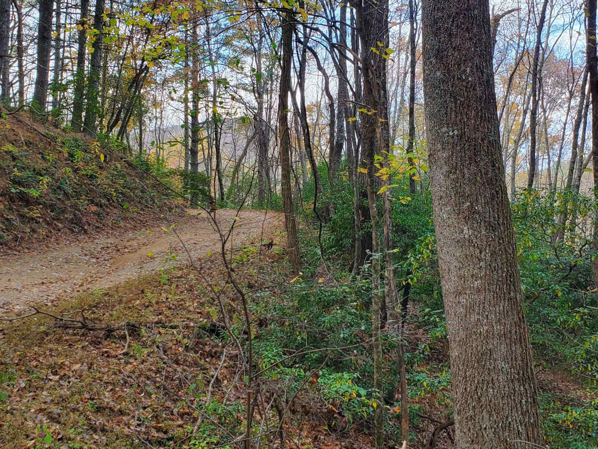 West Skeenah - FS 640 photo 3