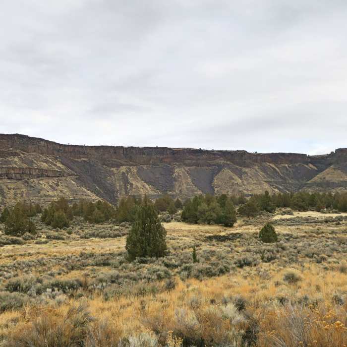 Near Otter Bench Loop Hike