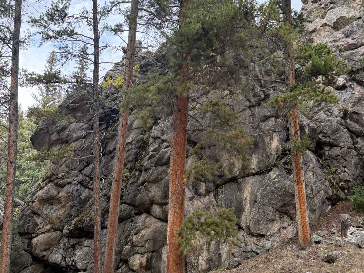 Middle Fork Campground Road photo 6