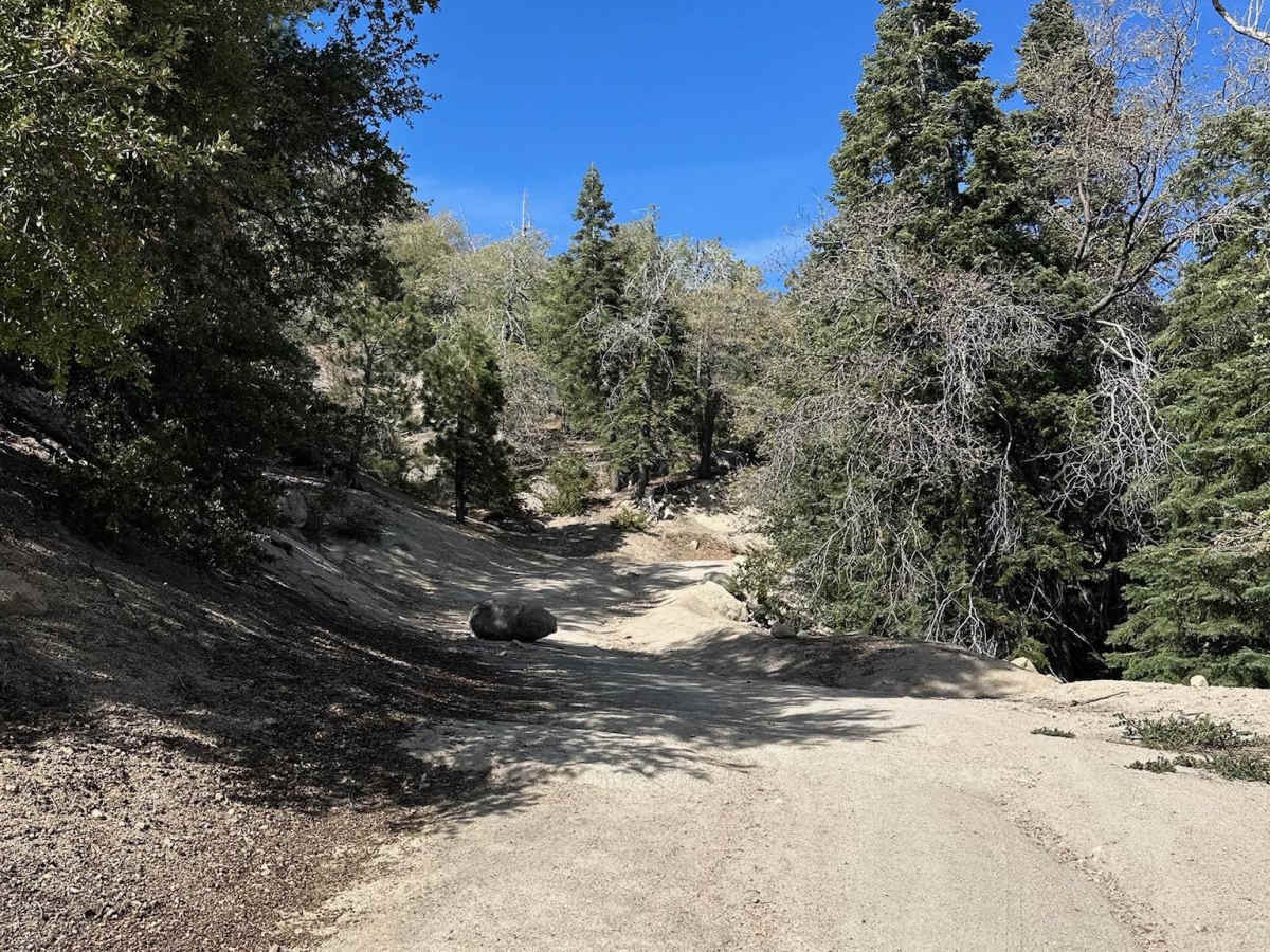 Little Green Valley photo 6