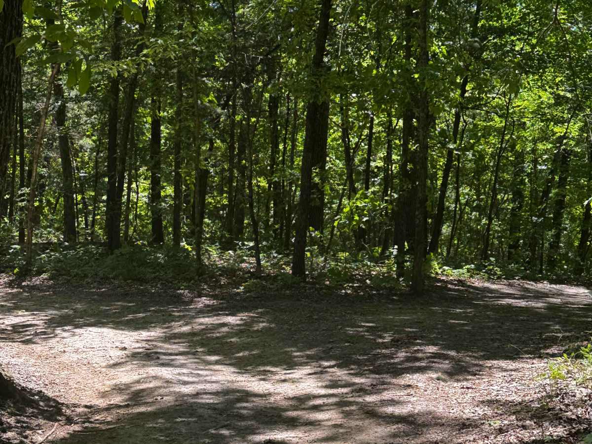 Inner Bypass trail photo