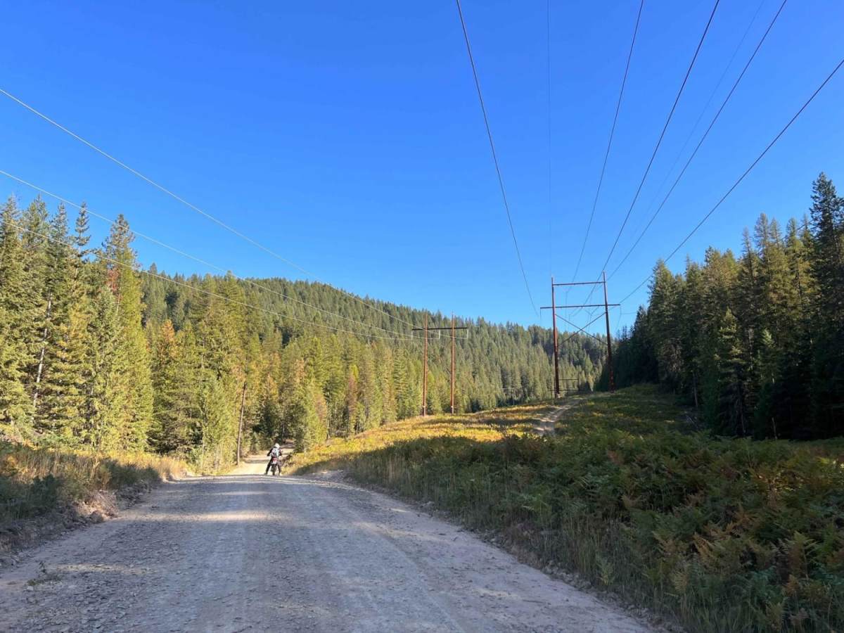 Stevens Creek Road photo 6