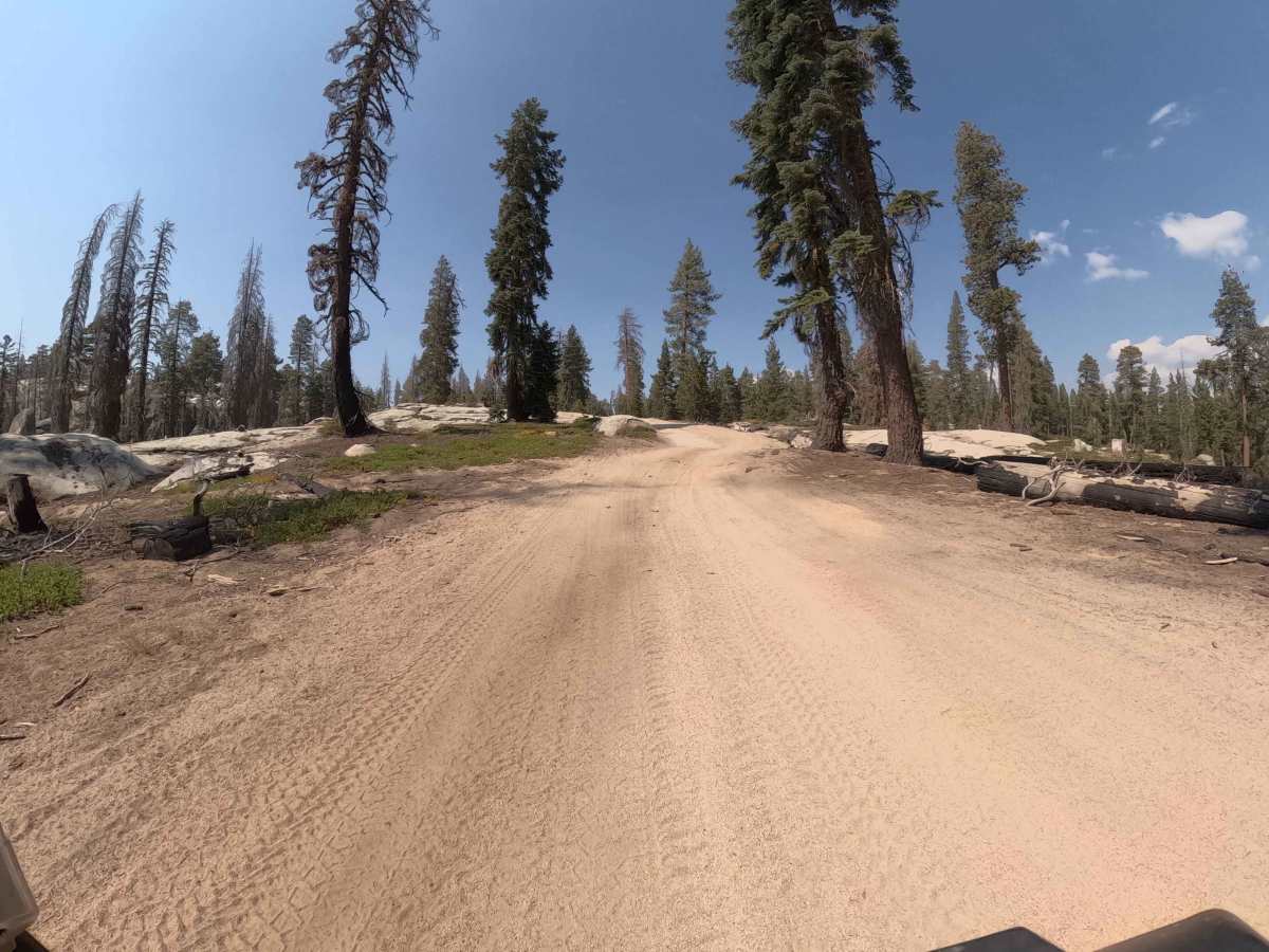 45 Cutoff - FS 25E309 trail photo